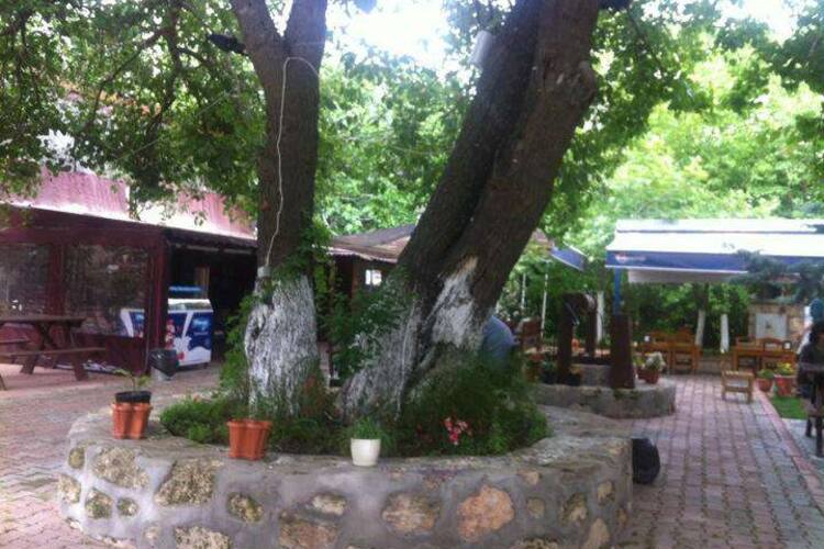 Balcali Koy Evi Saricam Adana